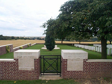 New military cemetery #1/3